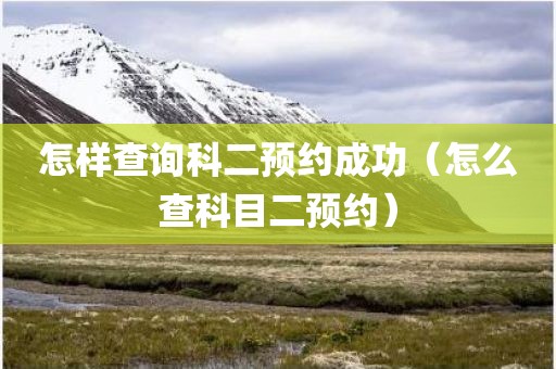 怎样查询科二预约成功（怎么查科目二预约）