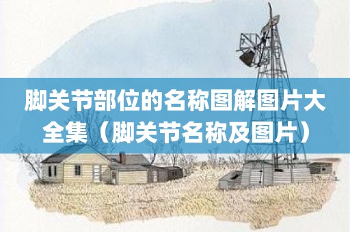 脚关节部位的名称图解图片大全集(脚关节名称及图片)