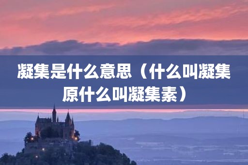 凝集是什么意思（什么叫凝集原什么叫凝集素）