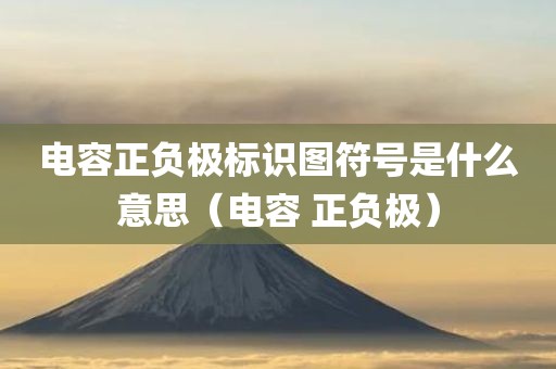 电容正负极标识图符号是什么意思（电容 正负极）