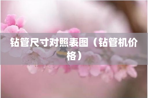 钻管尺寸对照表图（钻管机价格）