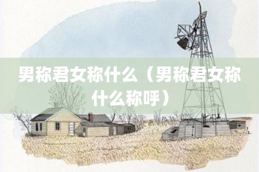 男称君女称什么（男称君女称什么称呼）