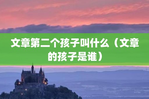 文章第二个孩子叫什么（文章的孩子是谁）