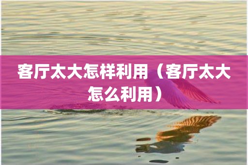 客厅太大怎样利用（客厅太大怎么利用）