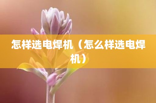 怎样选电焊机（怎么样选电焊机）