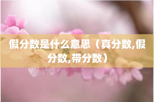 假分数是什么意思（真分数,假分数,带分数）