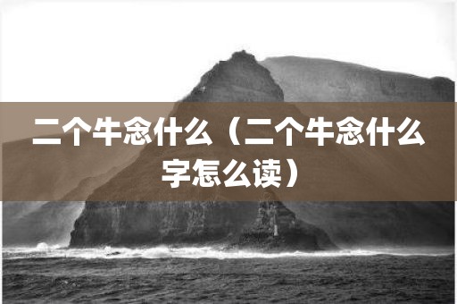 二个牛念什么（二个牛念什么字怎么读）