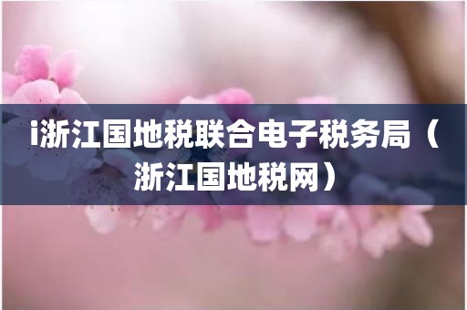 i浙江国地税联合电子税务局（浙江国地税网）