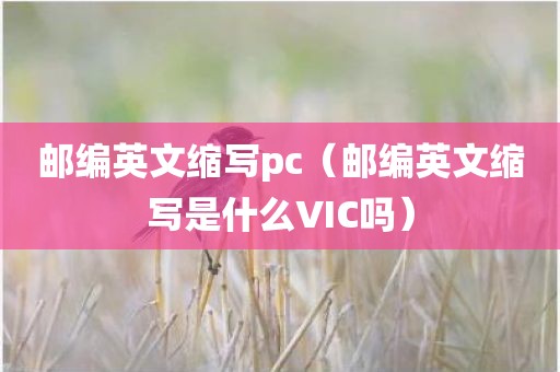 邮编英文缩写pc（邮编英文缩写是什么VIC吗）