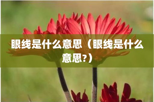 眼线是什么意思（眼线是什么意思?）