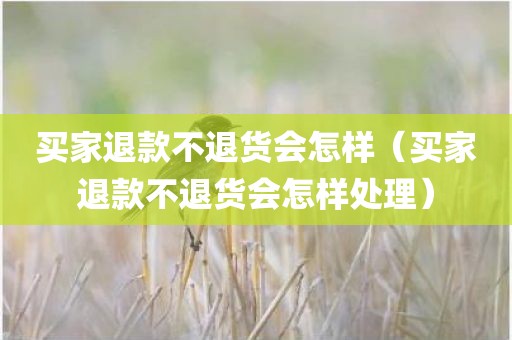 买家退款不退货会怎样（买家退款不退货会怎样处理）