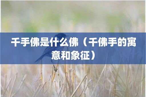 千手佛是什么佛（千佛手的寓意和象征）