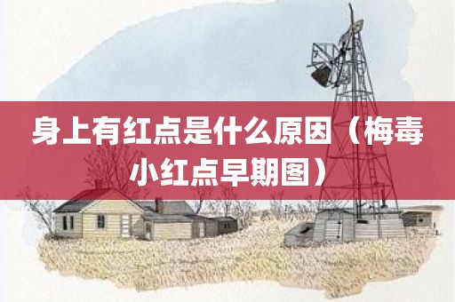 身上有红点是什么原因（梅毒小红点早期图）