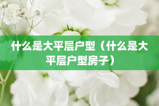 什么是大平层户型（什么是大平层户型房子）