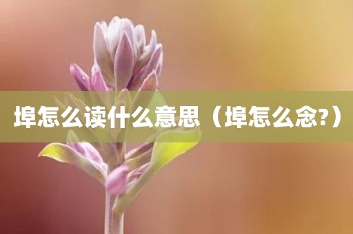 埠怎么读什么意思(埠怎么念?)