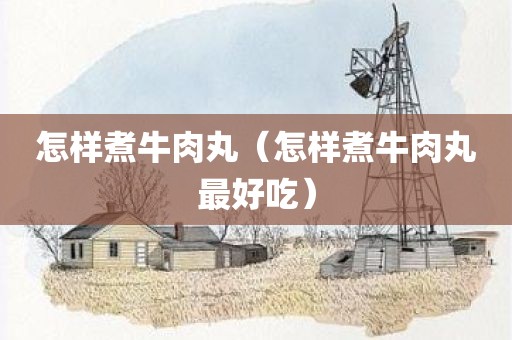 怎样煮牛肉丸（怎样煮牛肉丸最好吃）