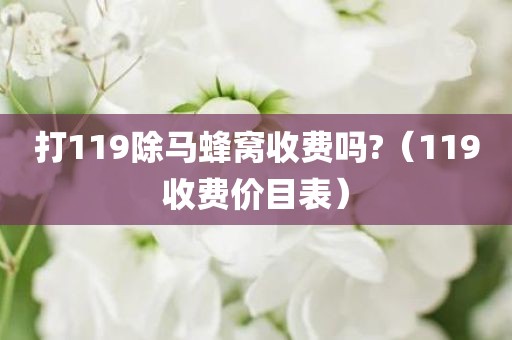 打119除马蜂窝收费吗?（119收费价目表）