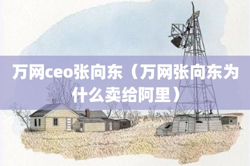 万网ceo张向东（万网张向东为什么卖给阿里）