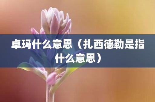 卓玛什么意思（扎西德勒是指什么意思）