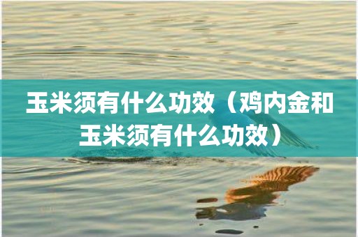 玉米须有什么功效（鸡内金和玉米须有什么功效）