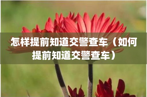 怎样提前知道交警查车（如何提前知道交警查车）