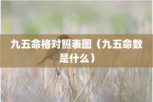九五命格对照表图（九五命数是什么）