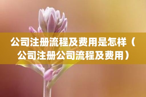公司注册流程及费用是怎样（公司注册公司流程及费用）