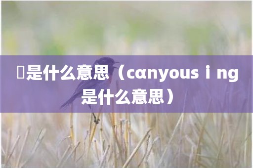 尨是什么意思（cαnyousⅰng是什么意思）