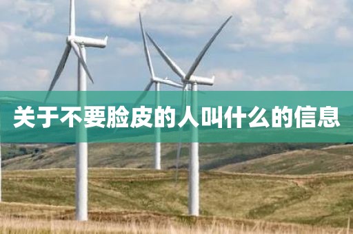 关于不要脸皮的人叫什么的信息