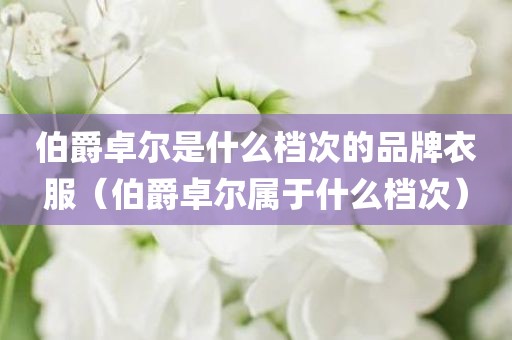 伯爵卓尔是什么档次的品牌衣服（伯爵卓尔属于什么档次）
