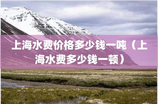 上海水费价格多少钱一吨(上海水费多少钱一顿) 上海水费价格多少钱一吨(上海水费多少钱一顿)
