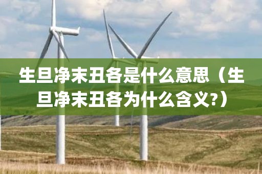 生旦净末丑各是什么意思（生旦净末丑各为什么含义?）