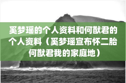 奚梦瑶的个人资料和何猷君的个人资料（奚梦瑶宣布怀二胎 何猷君我的家庭地）