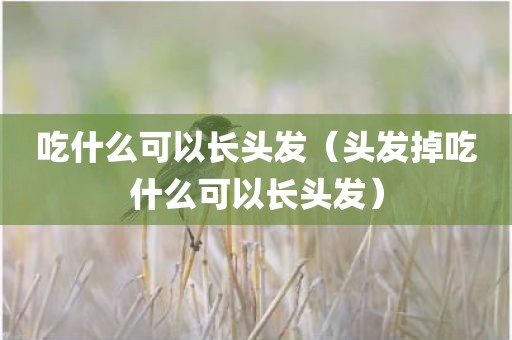 吃什么可以长头发（头发掉吃什么可以长头发）