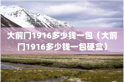 大前门1916多少钱一包（大前门1916多少钱一包硬盒）