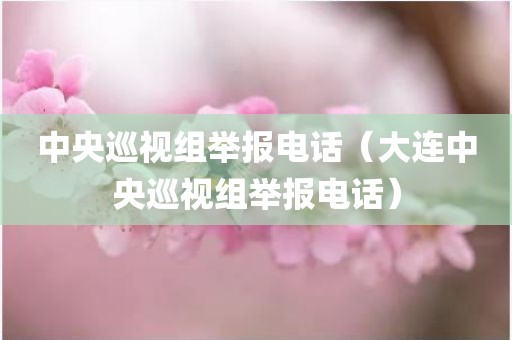 中央巡视组举报电话（大连中央巡视组举报电话）