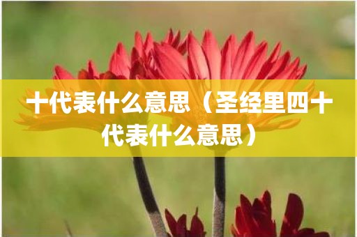 十代表什么意思（圣经里四十代表什么意思）
