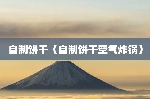 自制饼干（自制饼干空气炸锅）