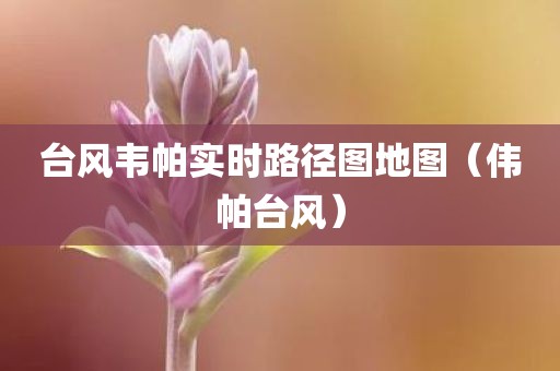 台风韦帕实时路径图地图（伟帕台风）