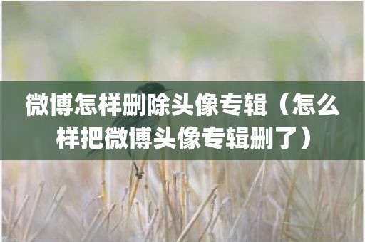 微博怎样删除头像专辑（怎么样把微博头像专辑删了）
