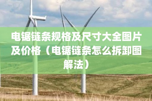 电锯链条规格及尺寸大全图片及价格（电锯链条怎么拆卸图解法）
