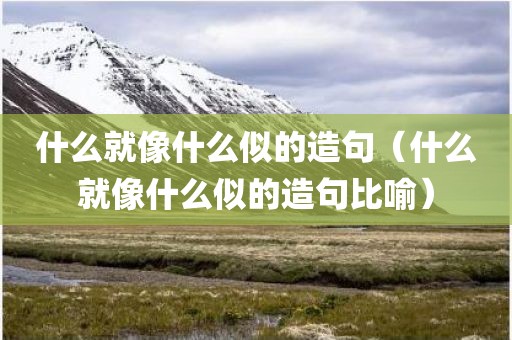 什么就像什么似的造句（什么就像什么似的造句比喻）