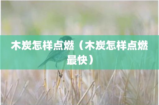 木炭怎样点燃（木炭怎样点燃最快）