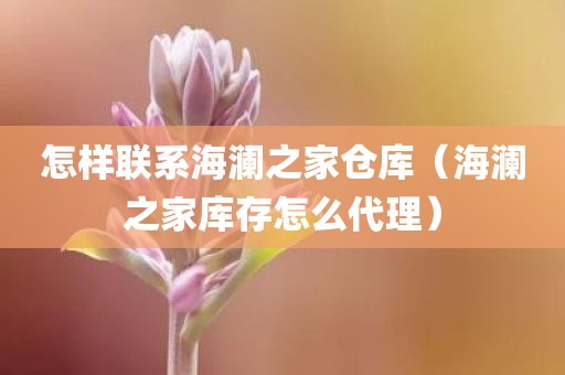 怎样联系海澜之家仓库（海澜之家库存怎么代理）
