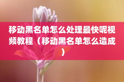 移动黑名单怎么处理最快呢视频教程（移动黑名单怎么造成）