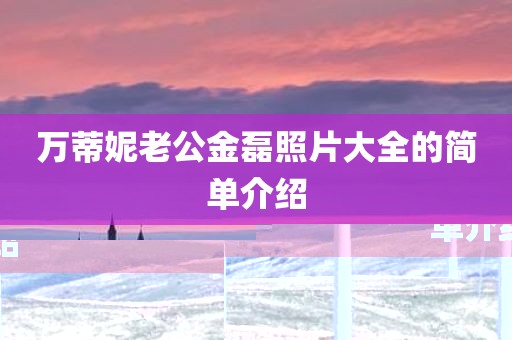 万蒂妮老公金磊照片大全的简单介绍