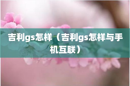 吉利gs怎样（吉利gs怎样与手机互联）