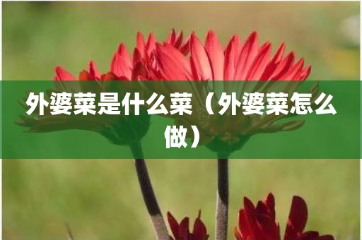 外婆菜是什么菜（外婆菜怎么做）