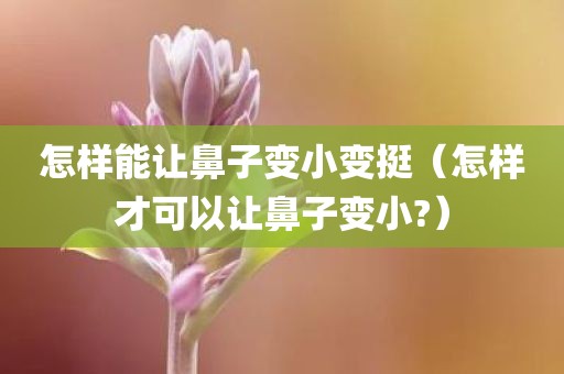 怎样能让鼻子变小变挺（怎样才可以让鼻子变小?）