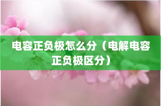 电容正负极怎么分（电解电容正负极区分）